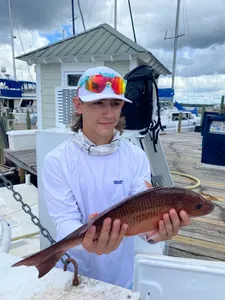 Gulf Coast Catch of the Day